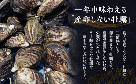 牡蠣 シマビト 殻付き 小豆島産 牡蠣【50個】【生食用】