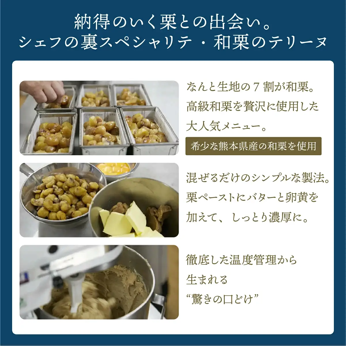 【パティスリーエトネ】和栗のテリーヌ 1本 / 和栗