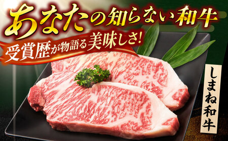 しまね牛ロースステーキ2枚 計440g 牛肉 ステーキ [AIDI021]