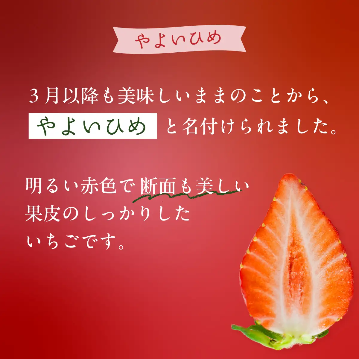 いちご やよいひめ 260g×4P やよいひめ 埼玉県 久喜市