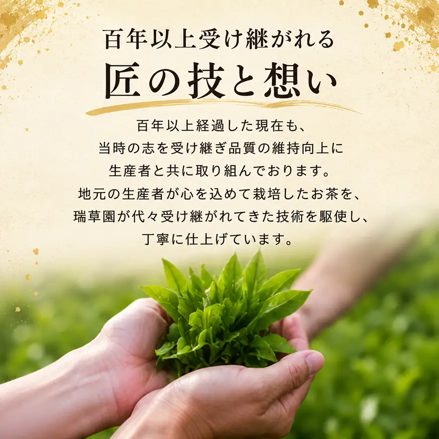 美濃いび茶セット TSH-30 飲料類 お茶 
