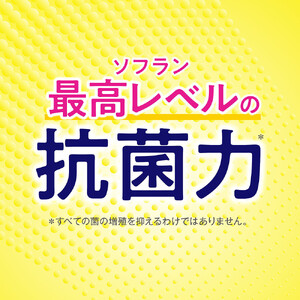 ライオン 柔軟剤 「ソフランプレミアム消臭」（アロマソープの香り）替特大セット(950ml×6個) 柔軟剤