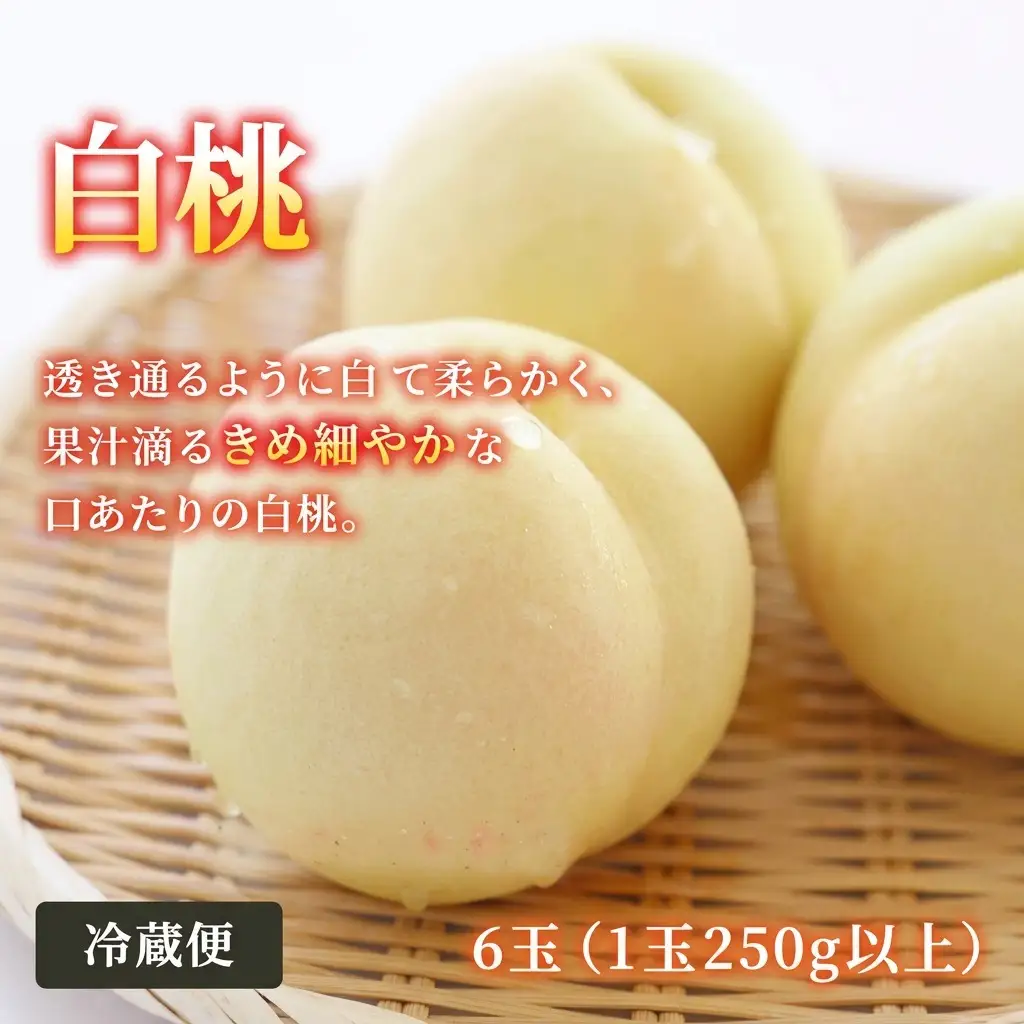 フルーツ 桃 ぶどう 梨 岡山県産 フルーツ【定期便3回】【先行予約】