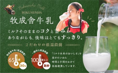 牧成舎 低温殺菌牛乳 3本 無添加 飲むヨーグルト 2本 飛騨産生乳100%使用 [AI005]