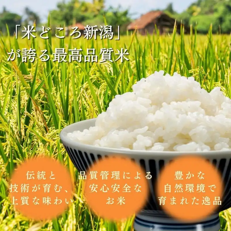 【令和8年11月配送】新米予約 みずほの輝き 5kg 新米 新潟県産