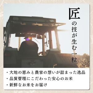 【6回定期便】新米予約 コシヒカリ 5kg 30㎏ コシヒカリ 新潟県