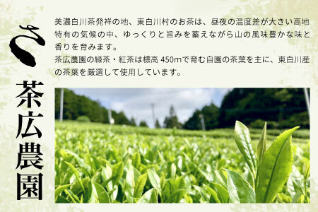 煎茶ティーバッグ ゆず 1袋 8個×2袋 岐阜県産 柚子 煎茶 抹茶 ティーバッグ お茶 日本茶 ティーバック ティーパック ホット アイス