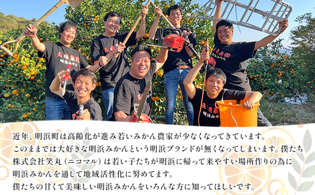 ＜愛媛県明浜産 笑丸みかん（温州みかん）約5kg 小玉サイズ＞ 家庭用 訳あり ワケアリ 果物 くだもの フルーツ ミカン 柑橘 特産品 笑丸 愛媛県 西予市【常温】『2026年11月中旬～2027年1月上旬迄に順次出荷予定』AAN0064