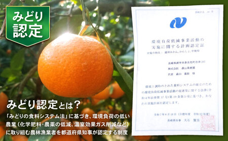 伊木力産　森山果樹園のこだわりみかん 5kg / みかん ミカン 柑橘 伊木力みかん 温州みかん / 諫早市 / 森山果樹園[AHCO008]