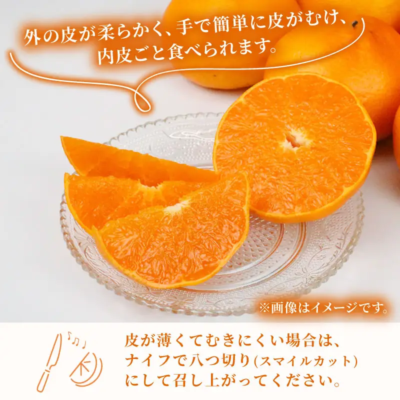 訳あり せとか 矢野青果 5kg せとか B012-171032