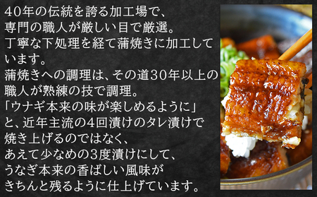 国産蒲焼きうなぎ ２５０ｇ ２尾 計５００ｇ fb-0167