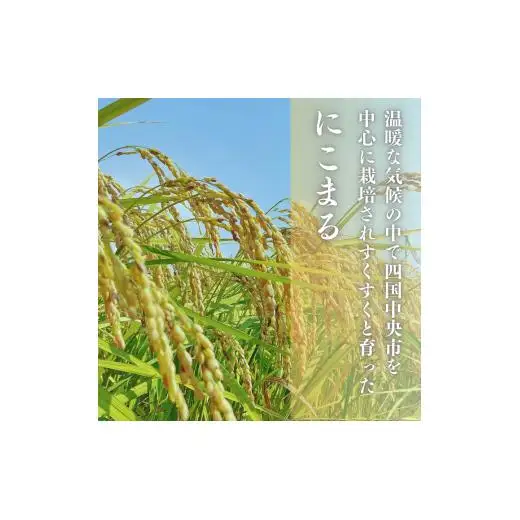 愛媛県産にこまる10kg
