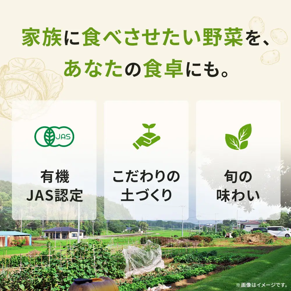 【年内発送可！(12月27日決済完了分まで）】有機野菜詰め合わせセット(5～6種類)