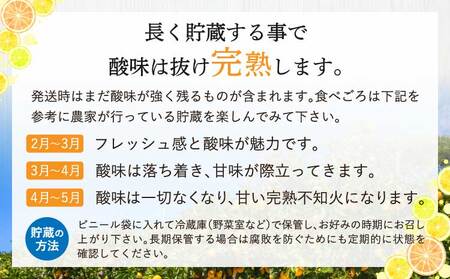 先行予約 熊本大見柑 (不知火) 訳あり 2kg (6～13玉) 【2027年2月上旬から2027年2月下旬発送予定】