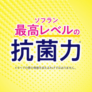 ソフランPS　フレッシュグリーンアロマの香り　つめかえ用特大　950ml×6