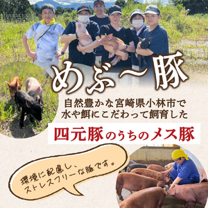 【地元ブランド豚】めぶ～豚 豚バラしゃぶしゃぶ 3.2kg（豚肉 豚 お肉 豚バラ バラ しゃぶしゃぶ用 小分け）
