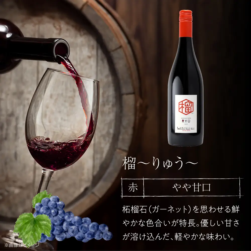 【全6回定期便】 赤ワイン 榴 りゅう RYU 750ml×1本 [APAZ139]赤ワイン