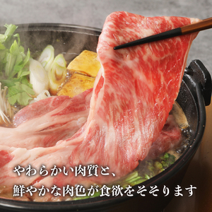 【福袋】甲州牛 満喫詰め合わせ Bセット　黒毛和牛 サーロイン ステーキ 1枚 250g すき焼き用 300g 切り落とし 300g 品質ランク A4以上 牛肉 肉 和牛 贅沢 バーベキュー ミート池田 山梨県 北杜市 [h021]