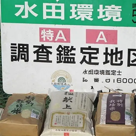 特別栽培米「ミルキークイーン」玄米 5kg【1023916】