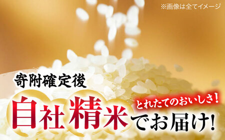 【全6回定期便】新米 令和8年産コシヒカリ 5kg [APBM030]