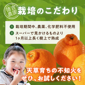 S178-004_【自然栽培】不知火 約2kg