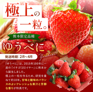 厳選農家直送 ゆうべに 約500g