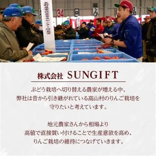 【2026年先行受付】日本で最も美しい村ー信州高山村ー　旬のりんご約5kg入り【訳あり品】【1696077】