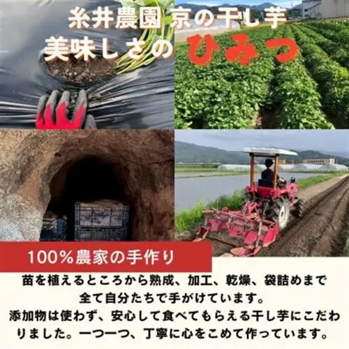 【熟成干し芋】京都府与謝野町産 紅はるか 農家こだわり京の干し芋 100g×10袋 糸井農園【配送不可地域：離島】【1699416】