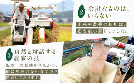 【4回定期便】令和7年産 福岡県産米 夢つくし10kg（5kg×2袋） 広川町 / たなか農産[AFCJ008]