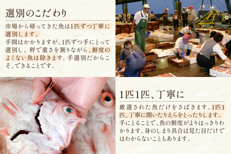 浜田港水揚げ魚の薄塩味干物C（のどぐろを含む） 【019_1955】