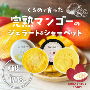 【2027年7月お届け】完熟マンゴーのジェラート＆シャーベット130ml×8個入り  〔Dw012-08〕