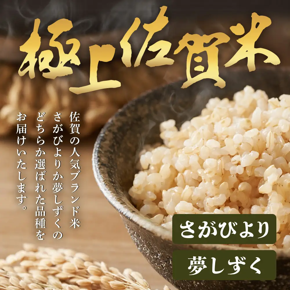 【3回定期便】《先行受付》令和8年産 さがびより【精米】10kg 1袋 合計30kg 新米 鹿島市産 K-19_biyori_s
