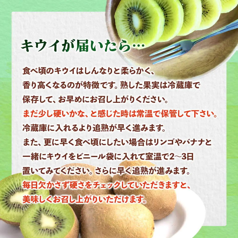 福岡限定品種キウイ「甘うぃ」約3kg／2026年11月頃より発送予定 桂川町/一般社団法人地域商社ふるさぽ[ADCF012]