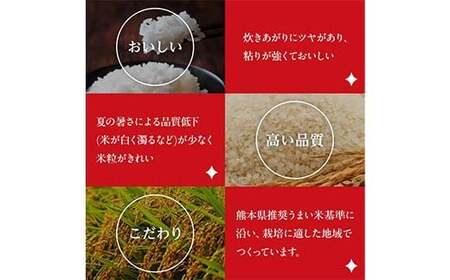 FK7-0268_【5カ月定期】【嘉島町産】くまさんの輝き 5kg 米 お米 コメ ごはん ご飯 食品 九州 熊本県 熊本 嘉島