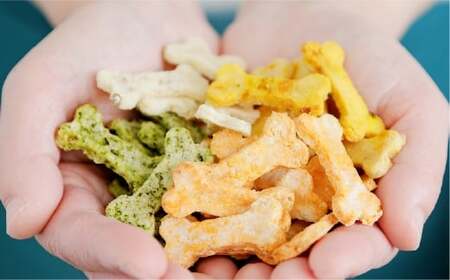 犬用カリカリおやつ【緑黄色野菜】 40g×3個（計120g） ペットフード 犬 ペット ドッグフード カリカリ 犬用おやつ 健康 低カロリー 日用品 雑貨