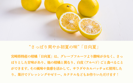 宮崎県の特産柑橘 日向夏の手搾り果汁200ml×5P  [保存料不使用40000円 ワンストップオンライン] TF0875-P00074