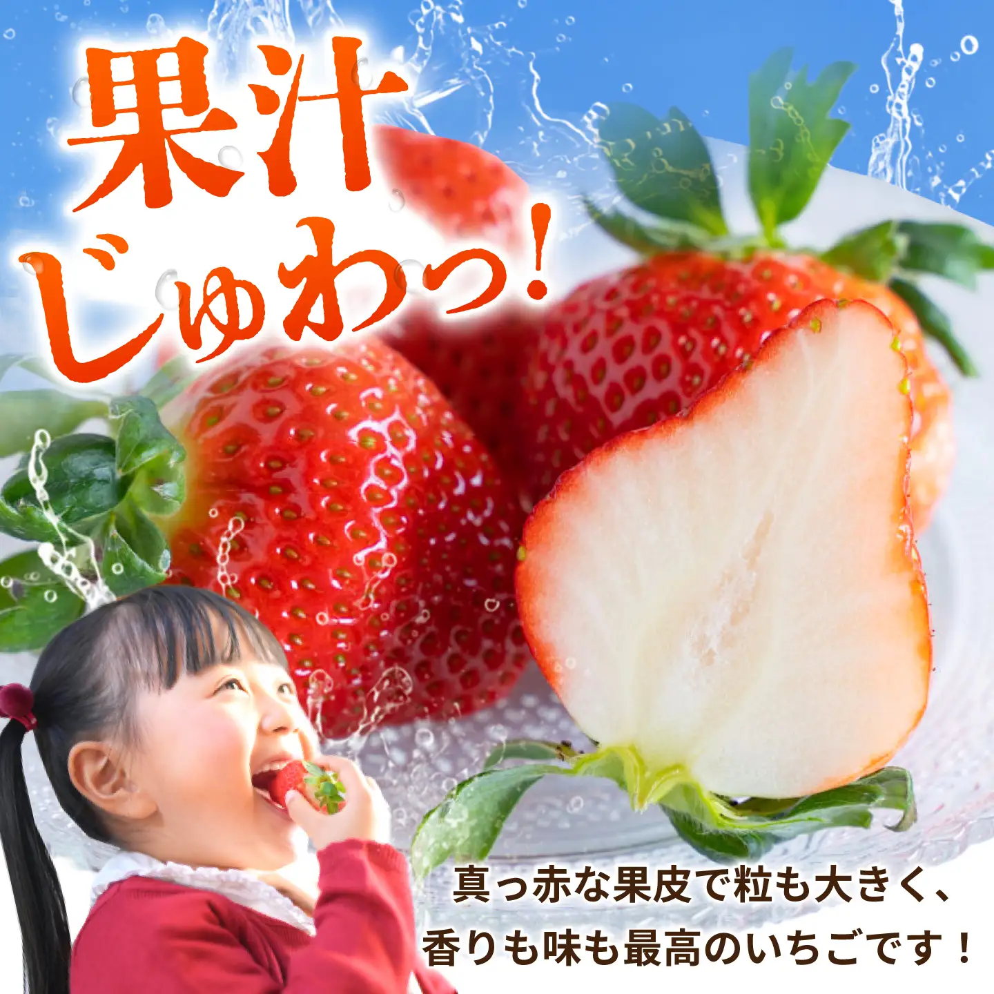 【先行予約】 いちご 恋みのり約1080g(約270g/6〜11粒×4p) 熊本いちご苺イチゴZFO006