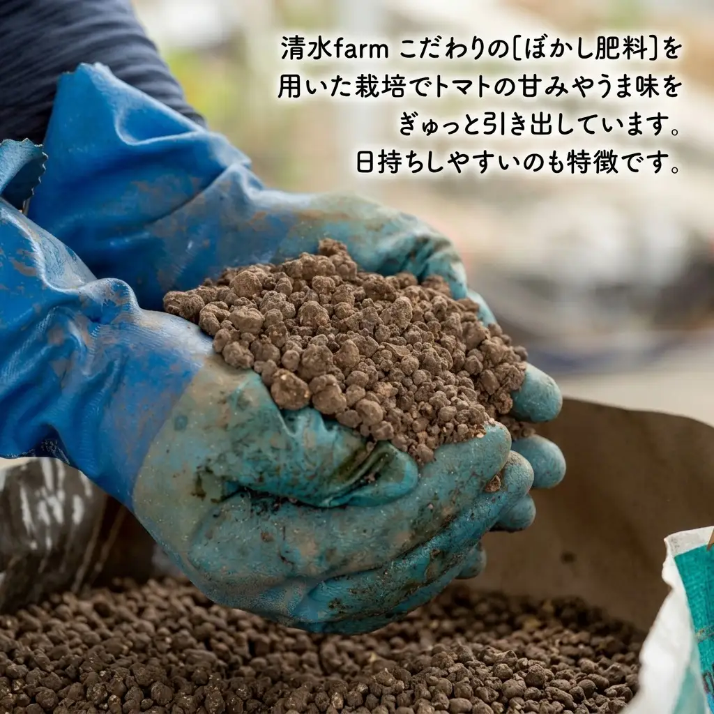 ミニトマト食べ比べ 富良野産 キャロル10 殊玉のうまみ ミニトマト【各2kg】【定期便2回】