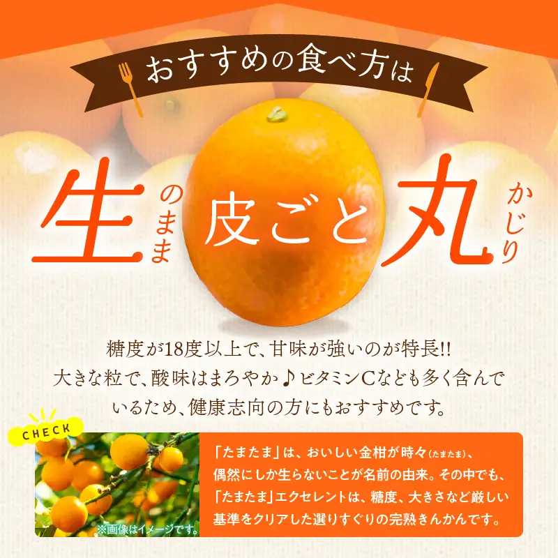 糖度18度以上!! 完熟きんかん たまたま エクセレント 計1kg 傷み補償分入り_D134-26