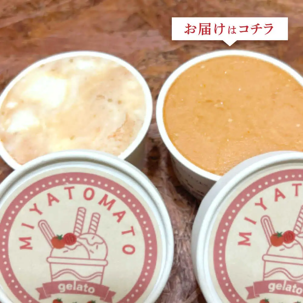 宮トマトジェラート 80ml×6個 / ジェラート トマト とまと アイス　アイスクリーム スイーツ / 諫早市 / 宮下農園[AHCG032]