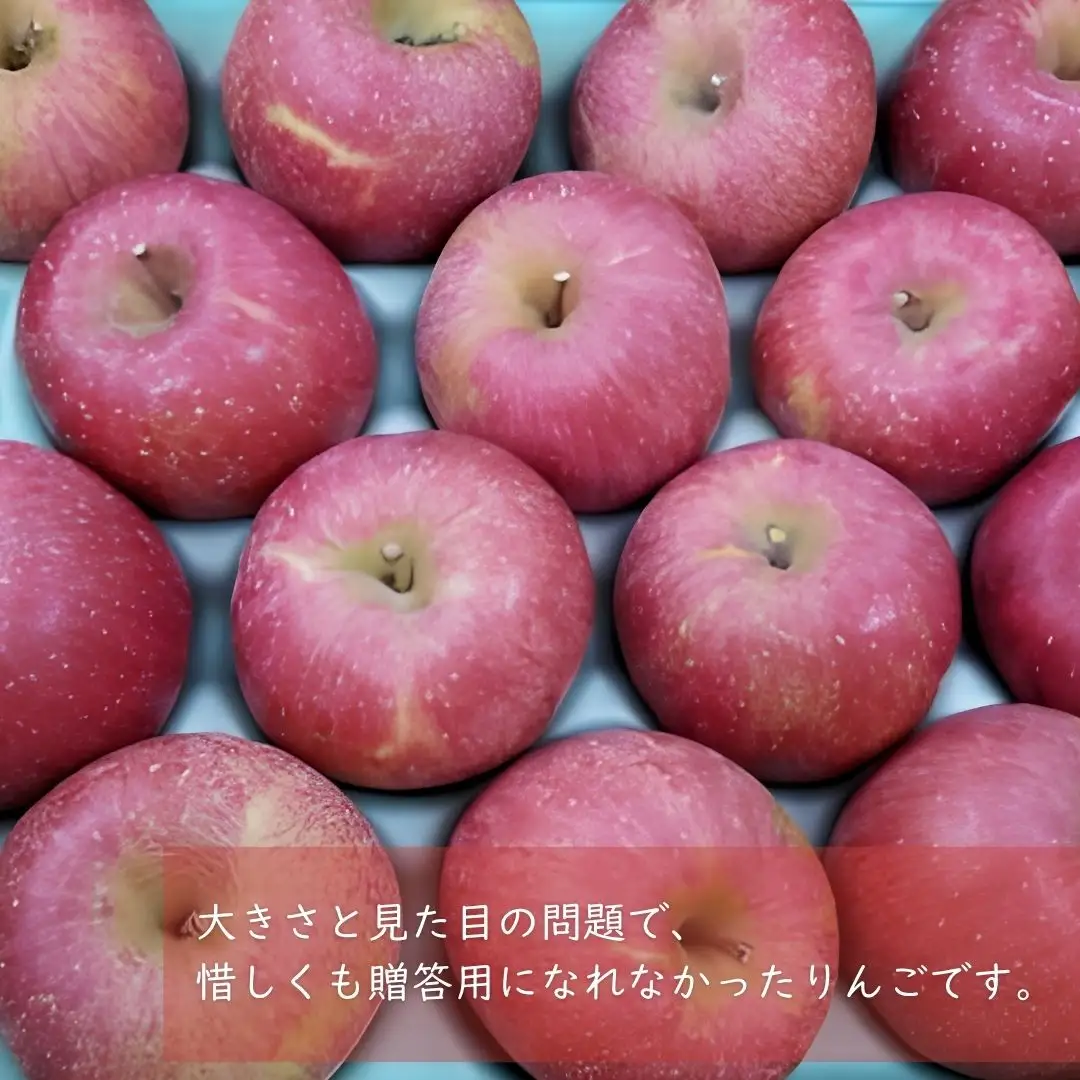 KR18 サンふじ 家庭用 小玉 約5kg（17～20玉） 長野県松川町産／11月下旬頃～配送予定//長野県 南信州 リンゴ 林檎 ふじ さんふじ 小玉サイズ 訳あり 自家用 農家直送 農家支援 産地直送
