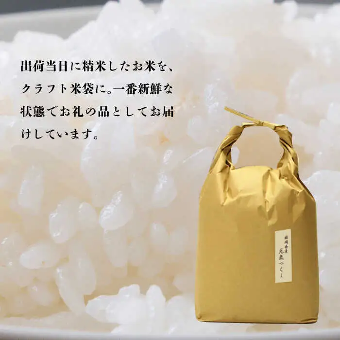 米 【特A】「元気つくし」5kg×1袋 [5kg] [白米] [ABDF201] 令和7年産 米 白米 精米 ご飯 ごはん こめ コメ
