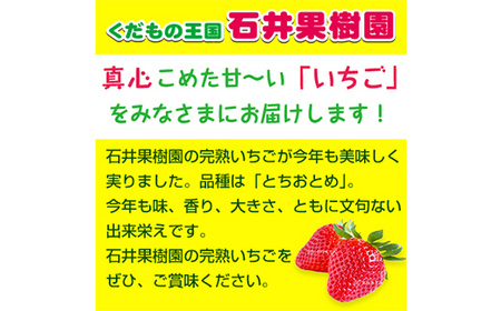 石井果樹園の完熟いちご とちおとめ 3Lサイズ 約1kg（260g×4パック） イチゴ 苺 福島県 鏡石町 F6Q-395