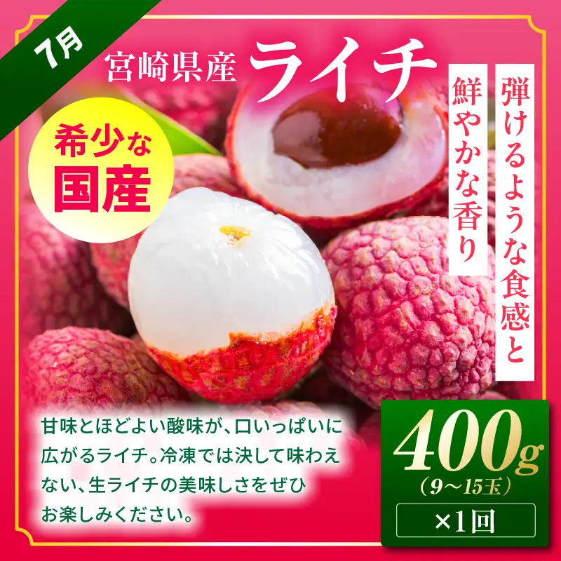 定期便 太陽のタマゴ ライチ 定期便[全3回 2027年発送先行予約 数量・期間限定]