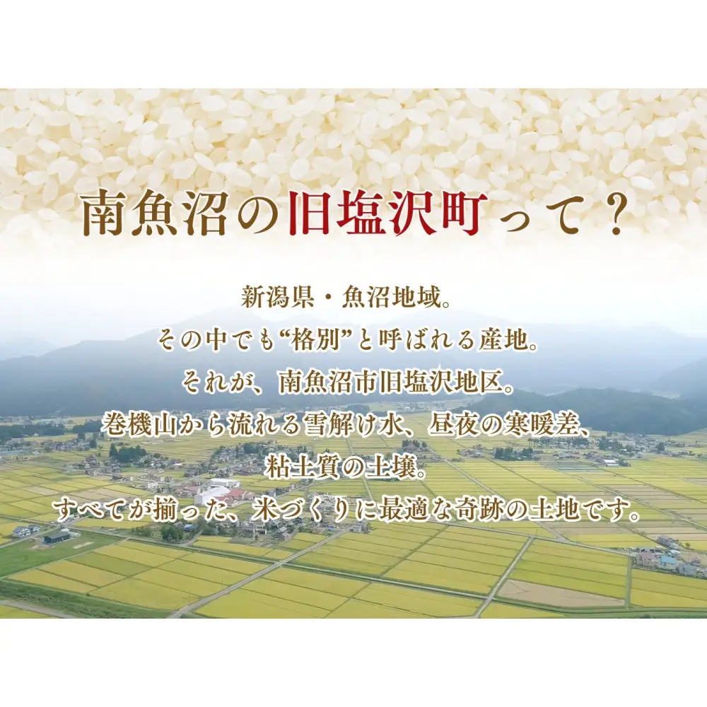 【令和7年度産】【定期便】南魚沼「旧塩沢」限定 コシヒカリ【5kg×6回】白米【定期便 銘柄米 ブランド米 精米 こしひかり コシヒカリ 魚沼産 新潟米 産地直送 お米 米 こめ コメ ご飯 御飯 ごはん】