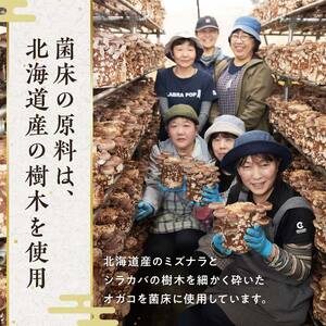 【2026年9月発送】 生しいたけ【形が悪いなどの訳あり品】1.6kg（200g×8袋） F4G-0325