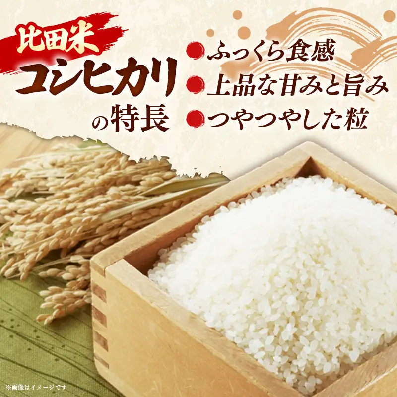 比田米 コシヒカリ(精米)5kg×6回 定期便【令和7年産 米 お米 こしひかり ごはん ご飯 国産】【価格変更】【90-EC-41】