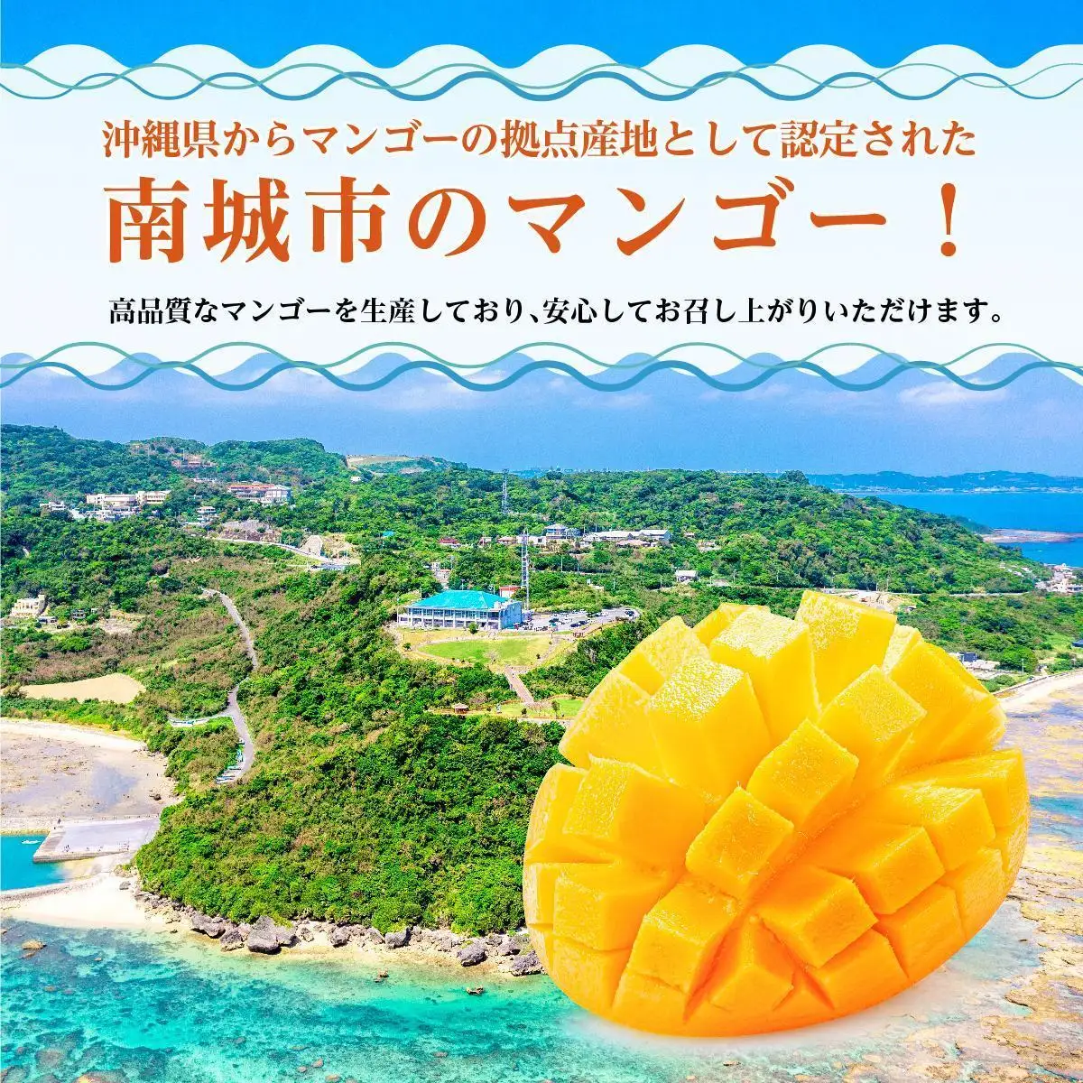 ＜先行予約＞マンゴー2kg　家庭用   I  マンゴー 2kg 家庭 用 フルーツ 果物 訳あり   沖縄県 南城市 ふるさと納税 石崎ファーム