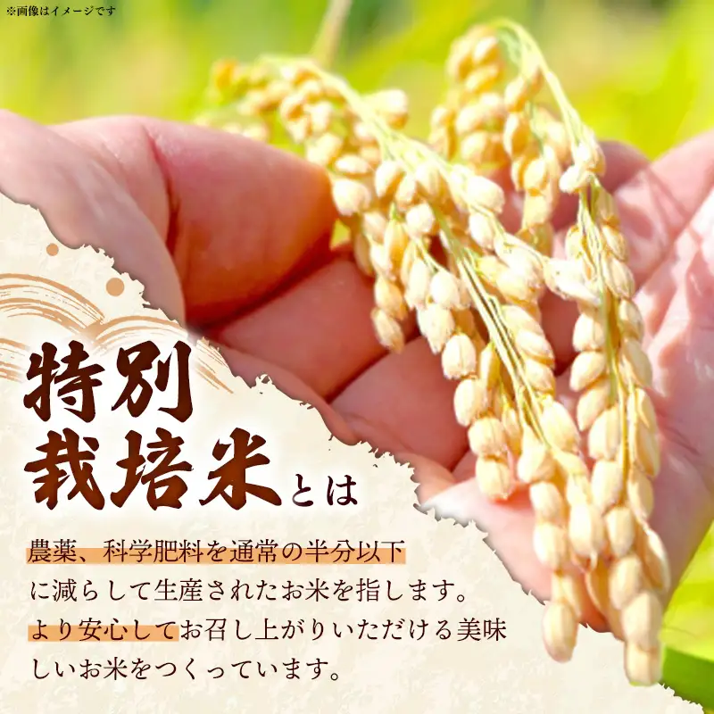 比田米 特別栽培コシヒカリ(精米)3kg【令和7年産 米 お米 こしひかり ごはん ご飯 有機肥料 国産】
