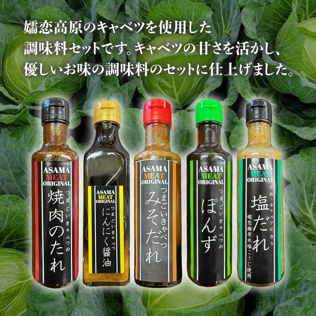 定番 肉料理のたれ 詰め合わせ 5種 × 1本 (計 5本 ) [AH058tu]